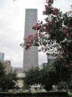 C20315.JPG
