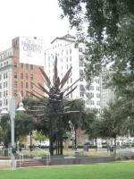 C20316.JPG
