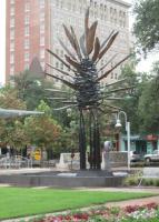 C20319.JPG